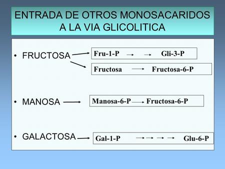 ENTRADA DE OTROS MONOSACARIDOS A LA VIA GLICOLITICA