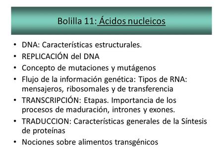 Bolilla 11: Ácidos nucleicos