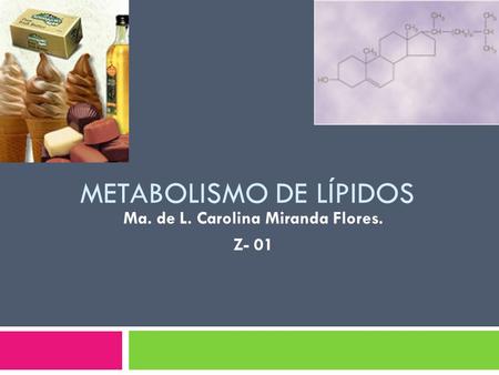 Metabolismo de lípidos