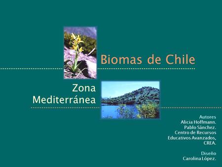 Biomas de Chile Zona Mediterránea Autores Alicia Hoffmann.