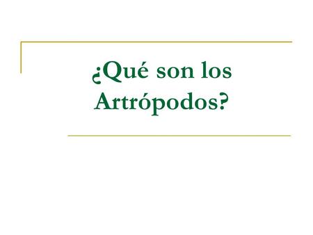 ¿Qué son los Artrópodos?
