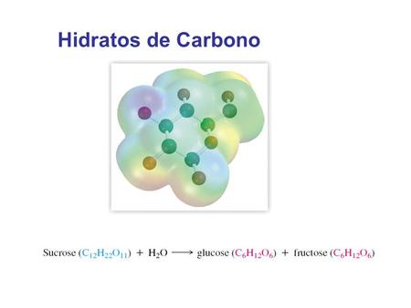 Hidratos de Carbono.