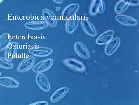 Enterobius vermicularis Enterobiasis Oxiuriasis Pidulle