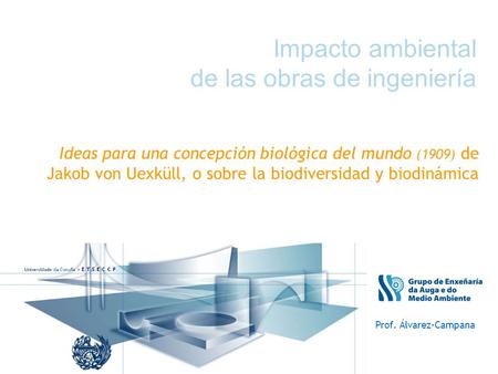 Impacto ambiental de las obras de ingeniería