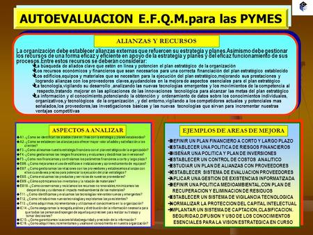 AUTOEVALUACION E.F.Q.M.para las PYMES EJEMPLOS DE AREAS DE MEJORA