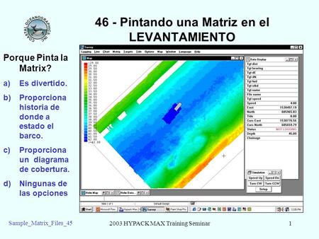 2003 HYPACK MAX Training Seminar1 Sample_Matrix_Files_45 46 - Pintando una Matriz en el LEVANTAMIENTO Porque Pinta la Matrix? a)Es divertido. b)Proporciona.