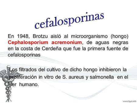 Cefalosporinas En 1948, Brotzu aisló al microorganismo (hongo) Cephalosporium acremonium, de aguas negras en la costa de Cerdeña que fue la primera fuente.