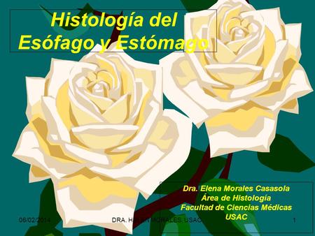 Histología del Esófago y Estómago