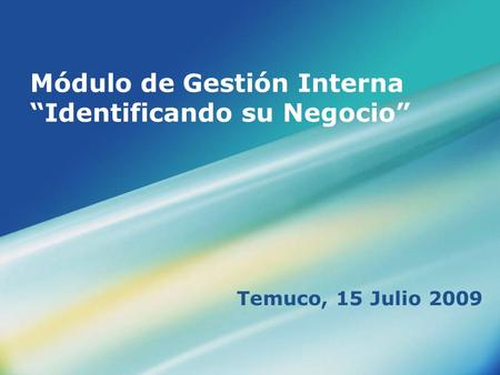 Módulo de Gestión Interna Identificando su Negocio Temuco, 15 Julio 2009.