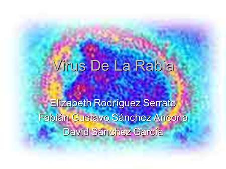 Virus De La Rabia Elizabeth Rodríguez Serrato