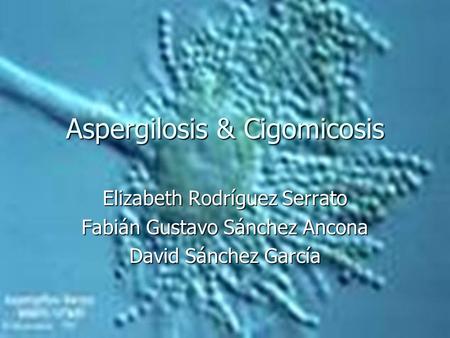 Aspergilosis & Cigomicosis