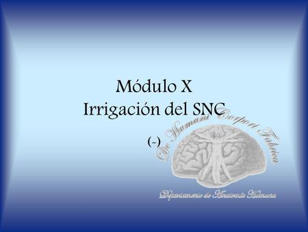 Módulo X Irrigación del SNC