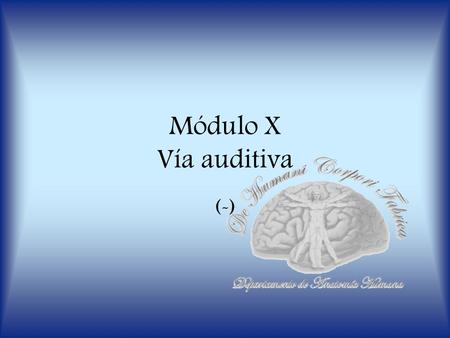 Módulo X Vía auditiva (-).