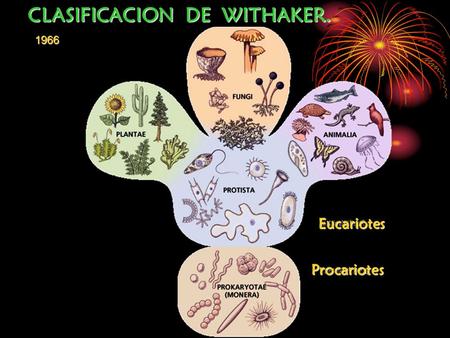 CLASIFICACION DE WITHAKER.