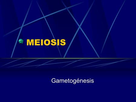 MEIOSIS Gametogénesis.