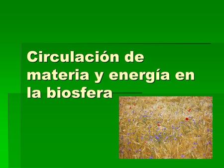 Circulación de materia y energía en la biosfera