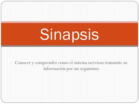Sinapsis Conocer y comprender como el sistema nervioso transmite su información por un organismo.