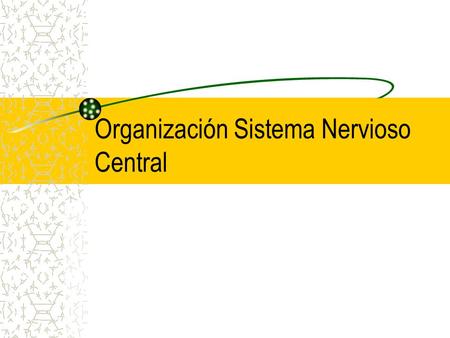 Organización Sistema Nervioso Central