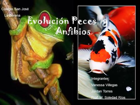 Evolución Peces y Anfibios