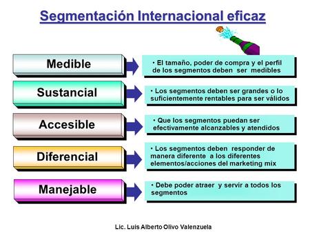Segmentación Internacional eficaz Lic. Luis Alberto Olivo Valenzuela