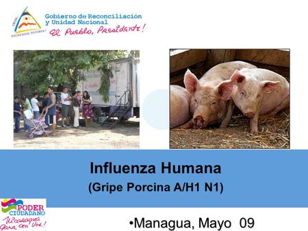 Influenza Humana (Gripe Porcina A/H1 N1) Managua, Mayo 09.