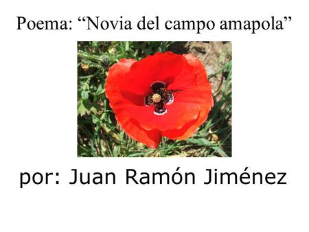 por: Juan Ramón Jiménez
