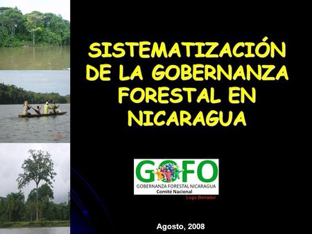 SISTEMATIZACIÓN DE LA GOBERNANZA FORESTAL EN NICARAGUA Agosto, 2008 Logo Borrador.
