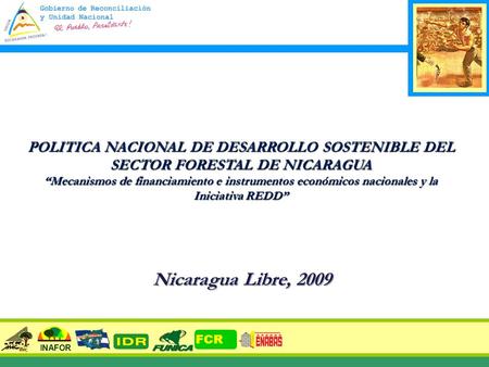 POLITICA NACIONAL DE DESARROLLO SOSTENIBLE DEL SECTOR FORESTAL DE NICARAGUA “Mecanismos de financiamiento e instrumentos económicos nacionales y la Iniciativa.