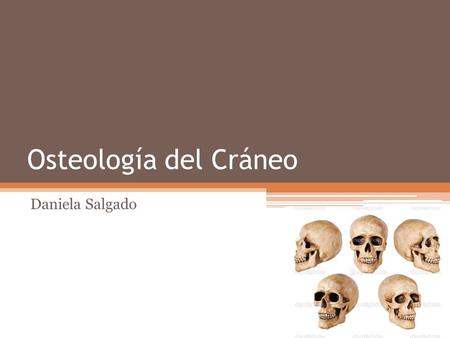 Osteología del Cráneo Daniela Salgado.