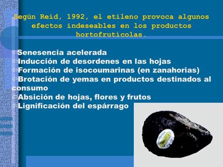 Según Reid, 1992, el etileno provoca algunos efectos indeseables en los productos hortofrutícolas. Senesencia acelerada ï Inducción de desordenes en las.