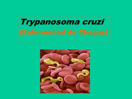 Trypanosoma cruzi (Enfermedad de Chagas)