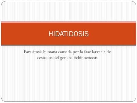HIDATIDOSIS Parasitosis humana causada por la fase larvaria de cestodos del género Echinococcus.