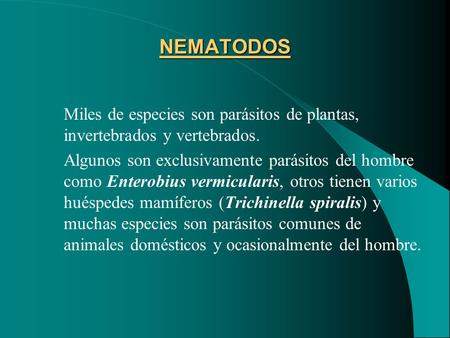 NEMATODOS Miles de especies son parásitos de plantas, invertebrados y vertebrados. Algunos son exclusivamente parásitos del hombre como Enterobius vermicularis,