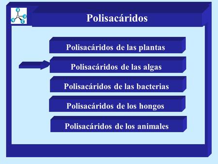 Polisacáridos Polisacáridos de las plantas Polisacáridos de las algas