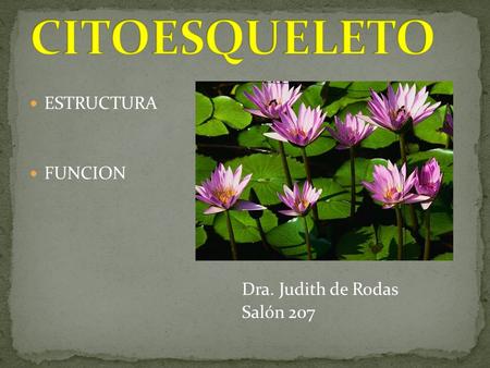 CITOESQUELETO ESTRUCTURA FUNCION Dra. Judith de Rodas Salón 207.