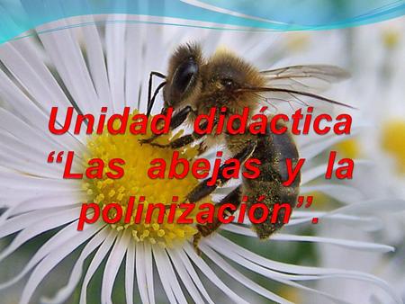 Unidad didáctica “Las abejas y la polinización”.