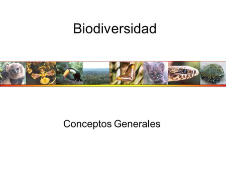 Biodiversidad Conceptos Generales.