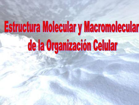 Estructura Molecular y Macromolecular de la Organización Celular