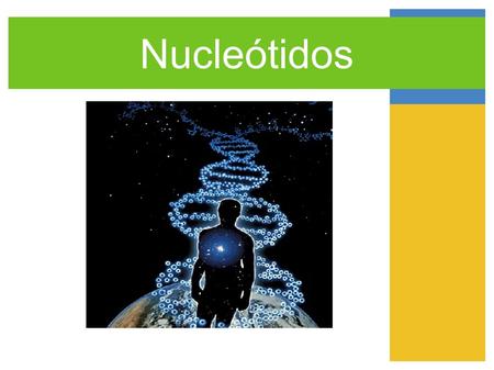 Nucleótidos. Purinas y pirimidinas Son heterocíclicas Sus principales derivados son los nuclósidos y nucleótidos.