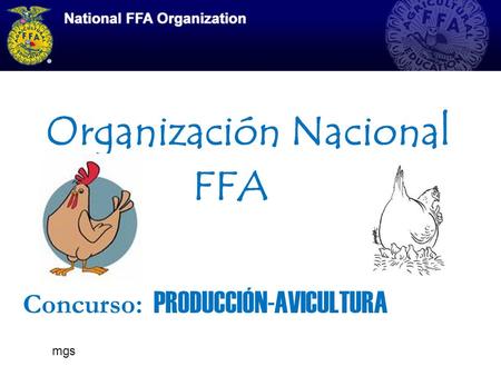 Organización Nacional