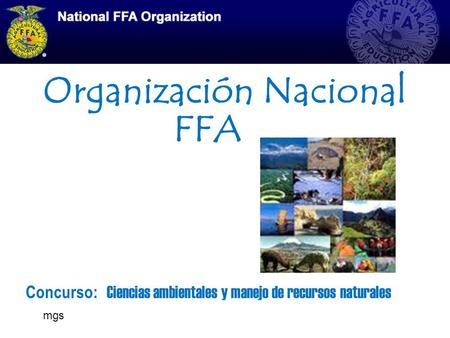 Organización Nacional