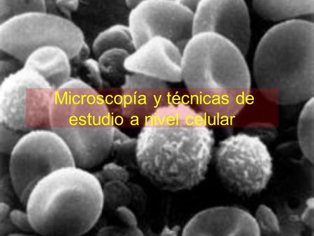 Microscopía y técnicas de estudio a nivel celular