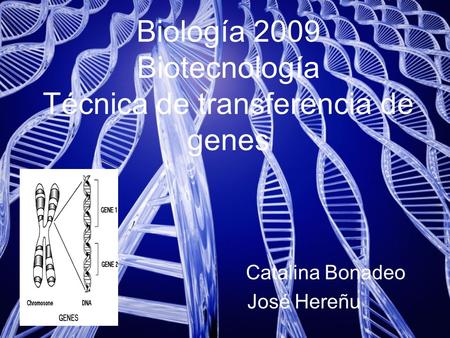Biología 2009 Biotecnología Técnica de transferencia de genes
