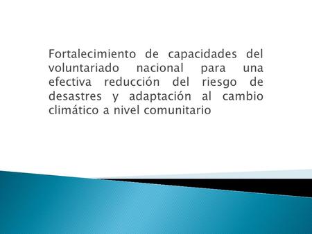 Fortalecimiento de capacidades del voluntariado nacional para una efectiva reducción del riesgo de desastres y adaptación al cambio climático a nivel.