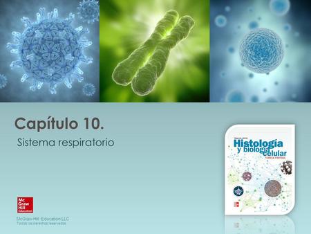 Capítulo 10. Sistema respiratorio.