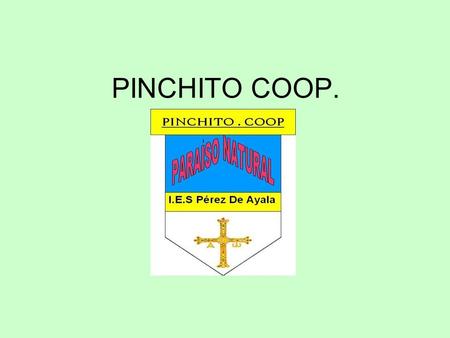 PINCHITO COOP..