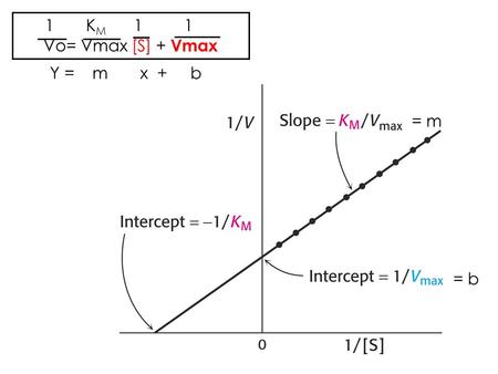 1 KM 1 1 Vo= Vmax [S] + Vmax Y = m x + b = m = b.