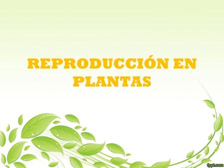 REPRODUCCIÓN EN PLANTAS