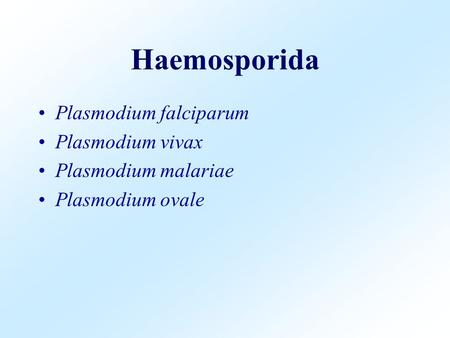 Haemosporida Plasmodium falciparum Plasmodium vivax
