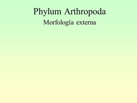 Phylum Arthropoda Morfología externa.